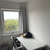 Photo 5: Study view 2
