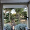 Photo 4: Garden 