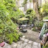 Photo 6: garden