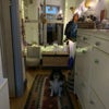 Photo 6: Hallway