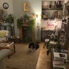Photo 8: Downstairs Sitting Room
