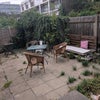 Photo 8: Garden