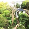 Photo 3: view from bedroom window