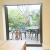 Photo 8: kitchen/patio/garden