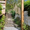 Photo 9: The 'garden gate'