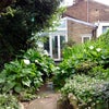 Photo 7: garden
