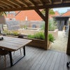 Photo 8: Garden