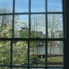 Photo 8: The river in Spring