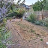 Photo 6: Garden- dried out from this ridiculous summer