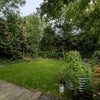 Photo 4: Garden
