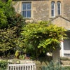 Photo 2: Front entrance with patio