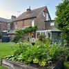 Photo 5: Shared Garden