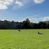 Photo 11: Tufnell Park Playing Fields