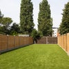 Photo 8: Garden