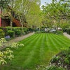 Photo 9: shared gardens