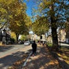 Photo 9: The street leading up to our flat