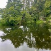 Photograph of Al