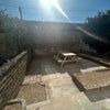 Photo 7: Back Garden 