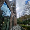 Photo 7: Building with gym next door
