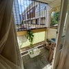 Photo 8: Balcony