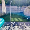Photo 9: Common Garden