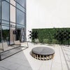 Photo 5: Terrace