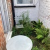 Photo 6: im bringing gardening equip to sort this out, it extends further as well
