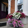 Photo 9: House facade