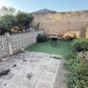 Photo 5: Garden