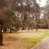 Photo 9: Park, bowling green, tennis courts outside 