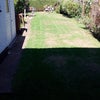 Photo 7: Slowly returning back to green grass