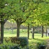 Photo 9: Larkhall Park opposite 
