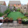 Photo 7: Garden