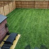 Photo 4: Back garden