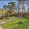 Photo 2: Back Garden