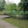 Photo 6: Plenty of Open spaces near by
