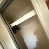Photo 2: Double door closet