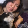 Photo 3: dog sitting