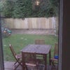 Photo 3: garden
