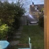 Photo 6: Garden