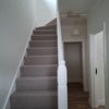Photo 5: New carpets and flooring 1