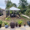 Photo 9: Garden Space