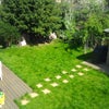 Photo 9: shared garden