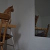 Photo 8: study 