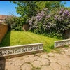Photo 9: Back garden 