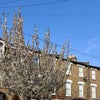Photo 4: Street