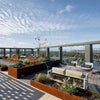 Photo 9: roof top