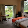 Photo 3: dual aspect of room to rent