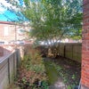 Photo 3: back garden