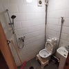 Photo 6: Ground Floor Bathroom